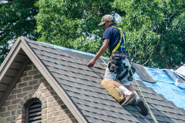 Roof Waterproofing Services in Erwinville, LA